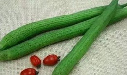 太阳wall吃瓜爆料最新,娱乐圈最新瓜料大揭秘！